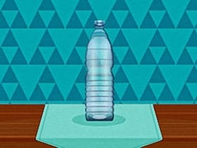 Bottle Flip Challenge