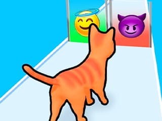 Cat Evolution