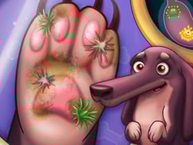 Dog Hospital