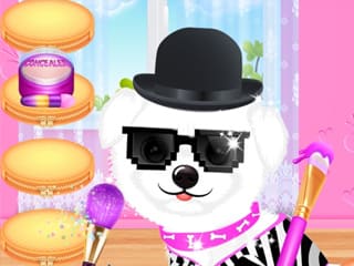 Pet Makeup Master