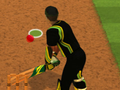 Cricket Batter Challenge