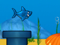 Jumpy Shark