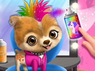 Rock Star Animal Hair Salon